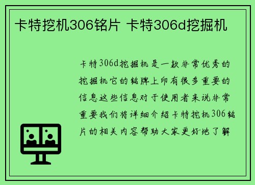 卡特挖机306铭片 卡特306d挖掘机